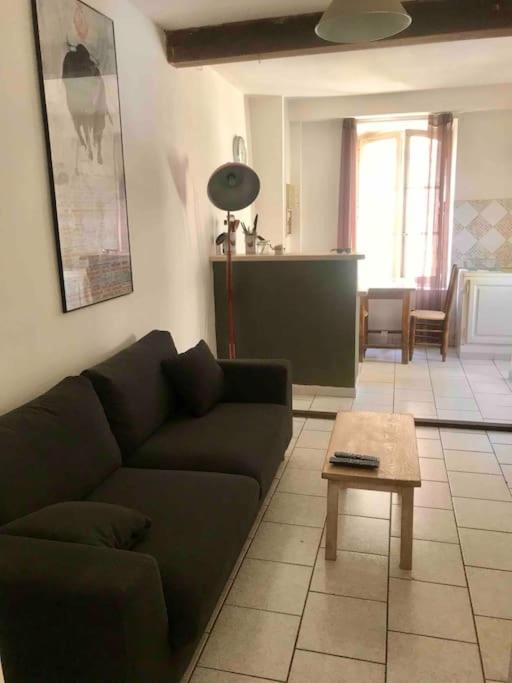 Appartement Face Aux Arenes Arles Exterior foto